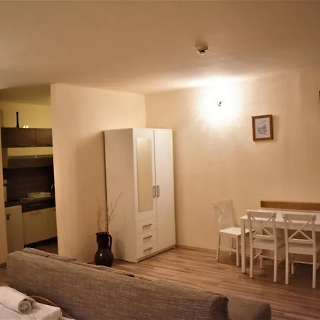 Exclusive Apartman מלון דירות *